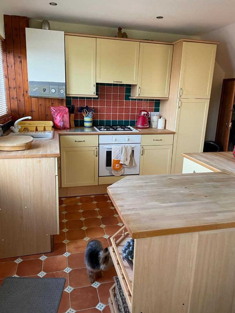 Holiday home 32 Maescurig Newport (Pembrokeshire)